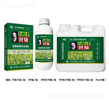 ���~����������LЧҺ��-�~�N-�»�