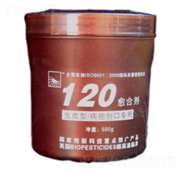 120���τ�-���Z�S