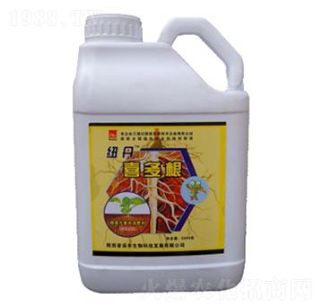 �~��ϲ���-���Z�S