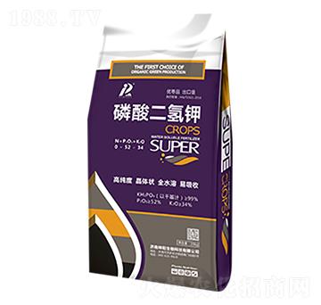 ��������-�������