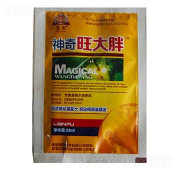 ����������-(li��n)�ջ��W