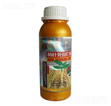 �S�~���砀��-(li��n)�ջ��W