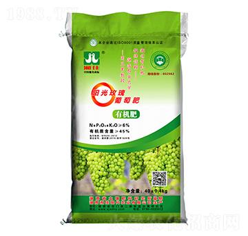 ꖹ�õ�����ь����ЙC(j��)����-���