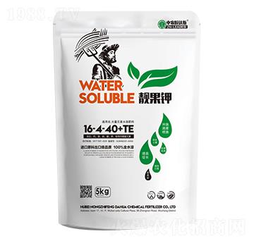 �n���16-4-40+TE-�r(n��ng)֮�S��