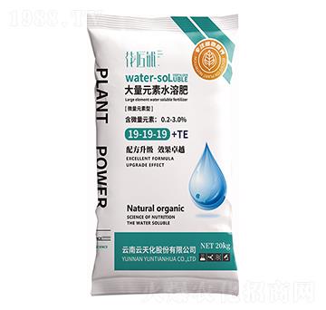 ΢��Ԫ���ʹ���Ԫ��ˮ�ܷ�19-19-19-TE-�����-���V