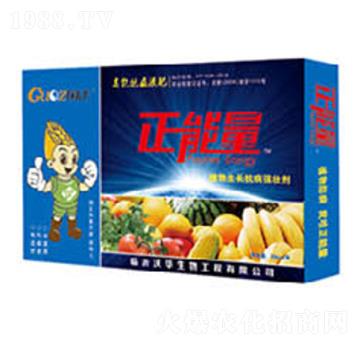 �V�V��ֲ�����L������(qi��ng)�ф�-������