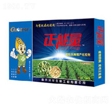 �󶹌��ÿ����������a(ch��n)���؄�-������