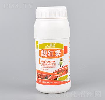 �n�t��-����-������