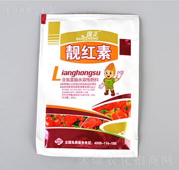 �n�t�أ�����-����-������