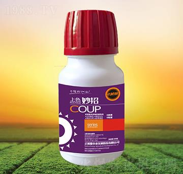 ��ɫ����-������