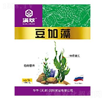 �M�Ͷ�����-����