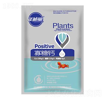 20g�����}-������