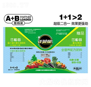 ����ʹ���Ԫ��ˮ�ܷ���A+B��n�b-������