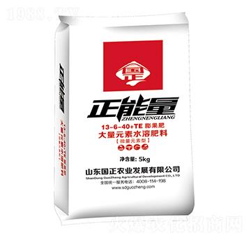 ����Ԫ��ˮ�ܷ���13-6-40+TE-����-������