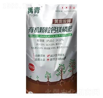 �ЙC�w���}�V�׷�-��������