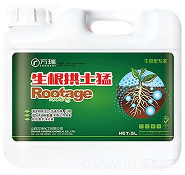 ����������-����