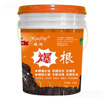 ����-�������