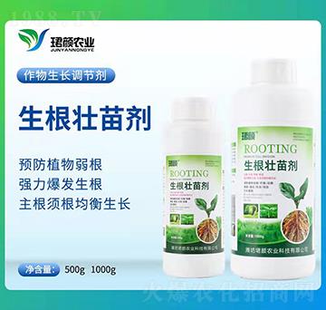 �������焩-�B��r(n��ng)�I(y��)