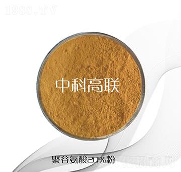 �۹Ȱ����-�пƸ�(li��n)