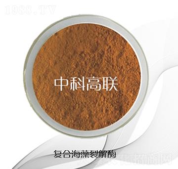 �ͺϺ����ѽ�ø-�пƸ�(li��n)