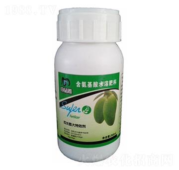 â�����L���-�꾧��