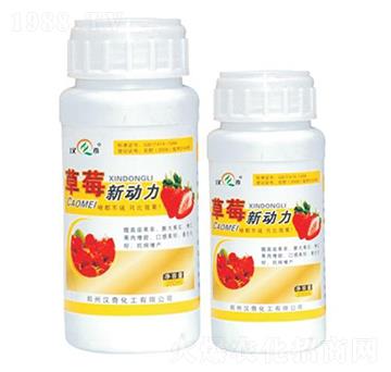 草莓新動力-漢奇化工