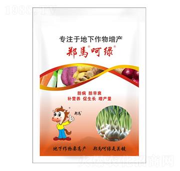 鄭馬呵綠增產(chǎn)套餐-千里馬農(nóng)業(yè)