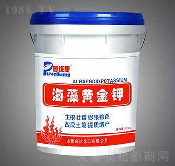 �����S���-�վS��-�_�_(d��)�ʘI(y��)