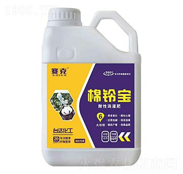 ��⏌����Եι��-ِ��-�_�_(d��)�ʘI(y��)