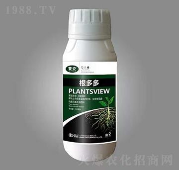 �����-ِ��-�_�_(d��)�ʘI(y��)