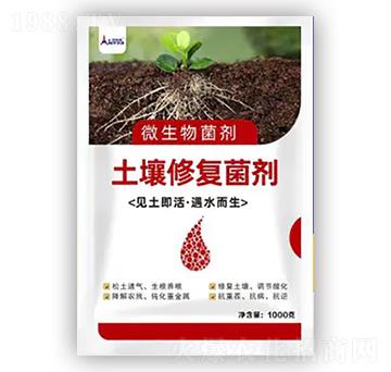 �����ޏ;���-������