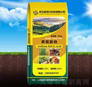 �S�����c-���d�Ƽ�