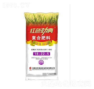 ��(f��)�Ϸ���18-22-5-�tɫ�ŵ�