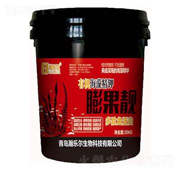 �ЙC(j��)���徫�����n-嫘�(l��)��