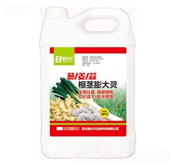 蔥姜蒜根莖膨大靈-瀚樂爾