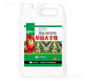 草莓大豐收-瀚樂爾