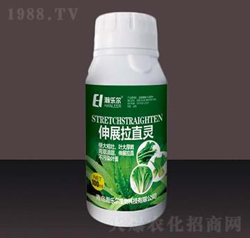 伸展拉直靈-瀚樂爾