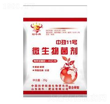 中勁11號微生物菌劑-勁牛