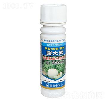 ��������ό���-���������-����ʘI(y��)