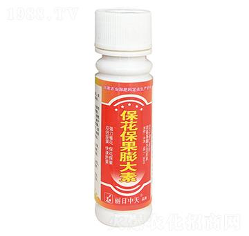 �������������-����ʘI(y��)