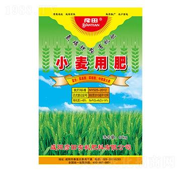 С���÷�-����