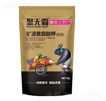 �VԴ�S�����-�۟o(w��)��