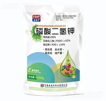 ��������-���R�S