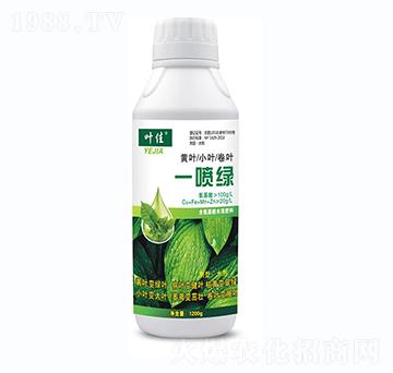 �S�~С�~���~-һ���G-���R�S