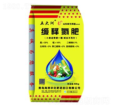 ��ጵ���-������