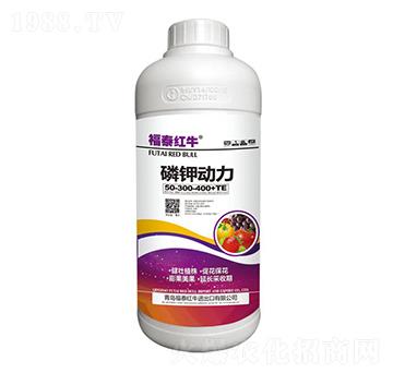 ��⛄�(d��ng)��50-300-400+TE-��̩�tţ