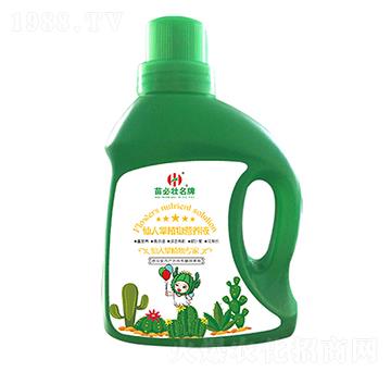 ������ֲ��I�B(y��ng)Һ-��؉�