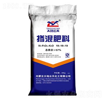 �������19-19-19-�������