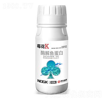 ø���~(y��)����-ݮ��K-������