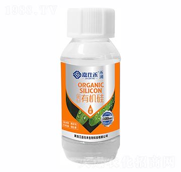 �M(j��n)���ЙC(j��)��-�ѝ�(r��n)-���˺�����